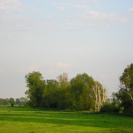 Parkhotel Schönewalde Zewnętrze zdjęcie