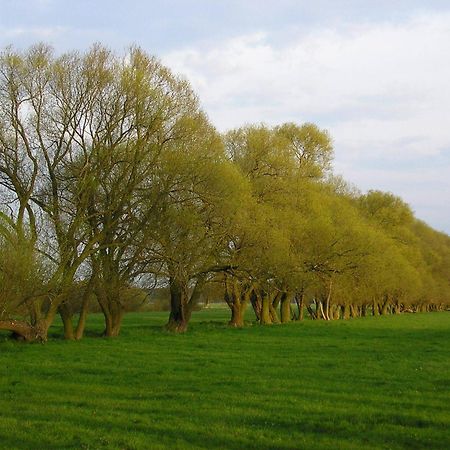 Parkhotel Schönewalde Zewnętrze zdjęcie