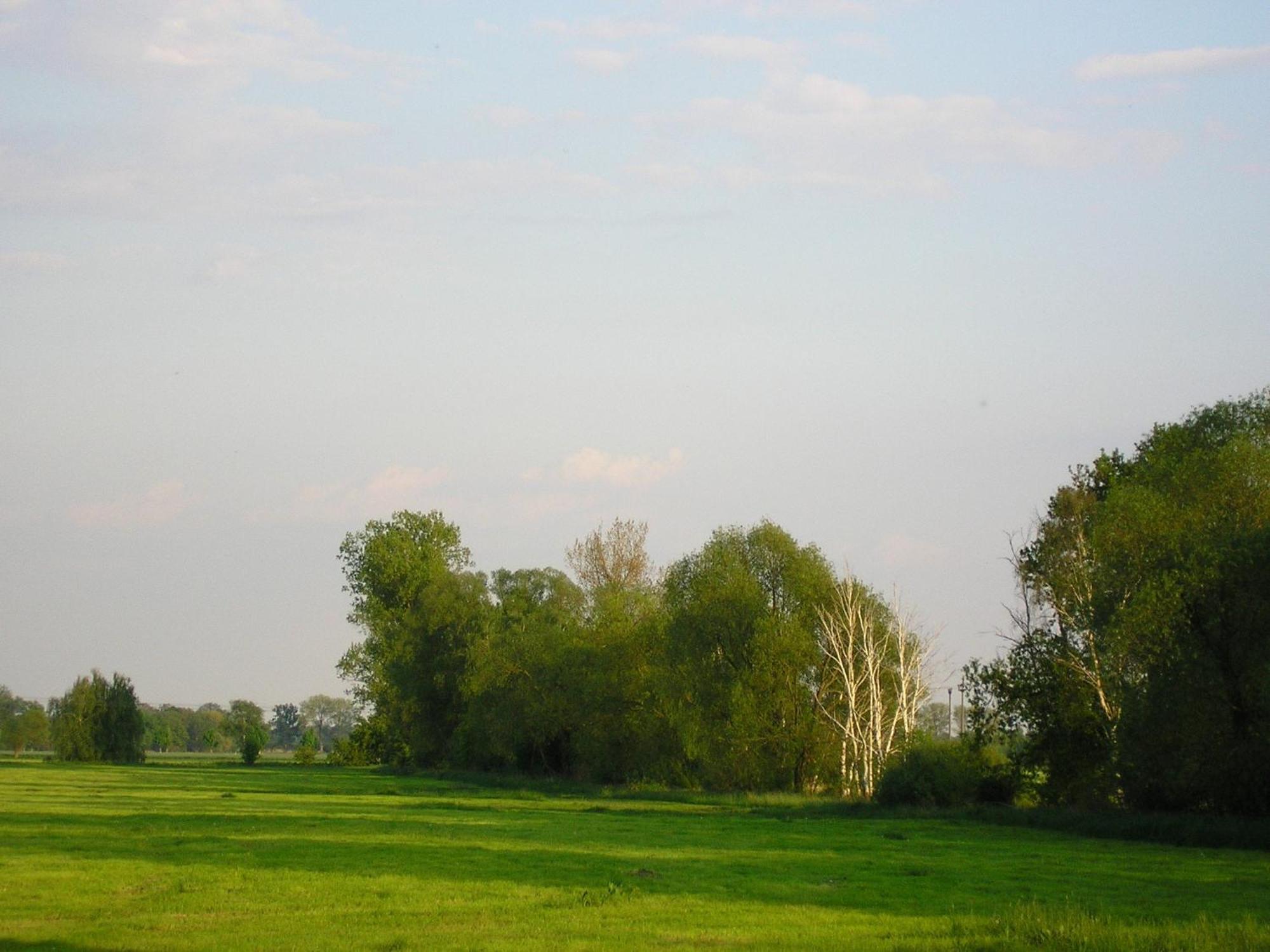 Parkhotel Schönewalde Zewnętrze zdjęcie