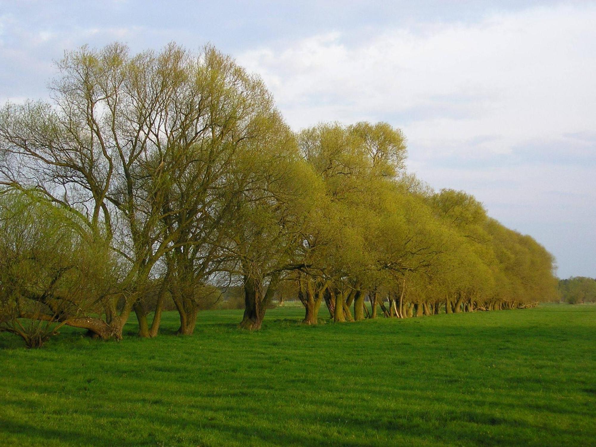 Parkhotel Schönewalde Zewnętrze zdjęcie