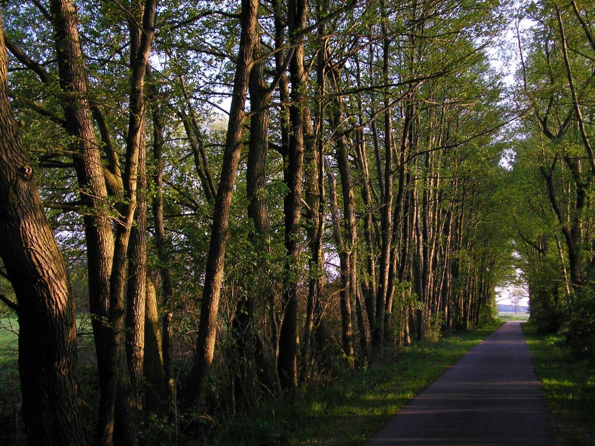 Parkhotel Schönewalde Zewnętrze zdjęcie