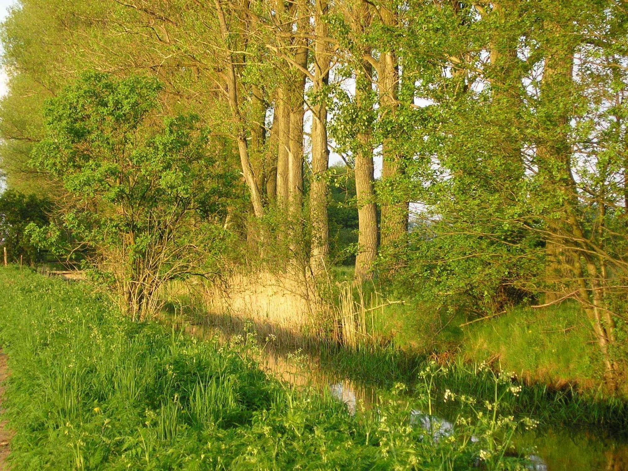 Parkhotel Schönewalde Zewnętrze zdjęcie